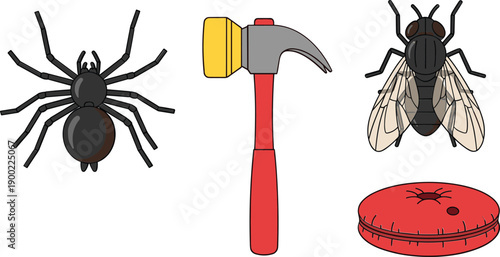 Spider, fly, and tools for pest control and DIY projects