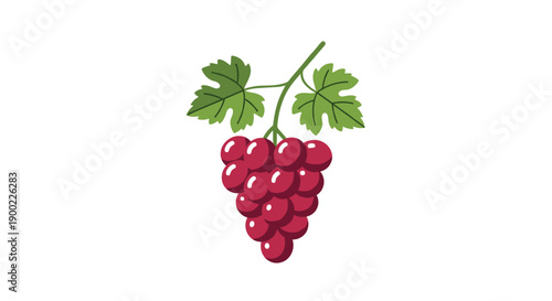 Vivid bunch of fresh red grapes with stem and stylized green leaves, a delicious fruit illustration isolated on a white