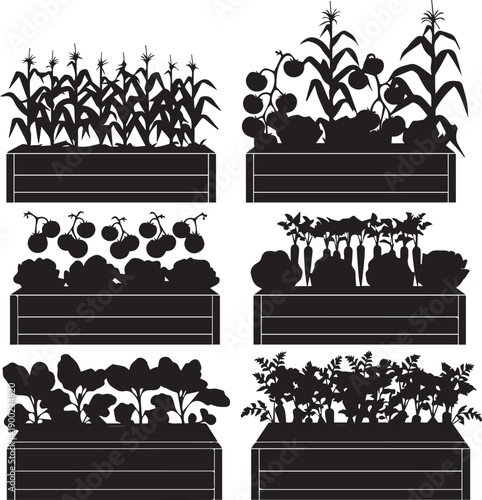 Silhouette of various vegetables growing in raised garden beds