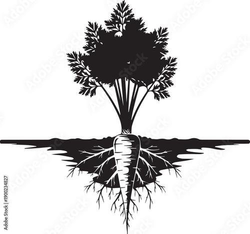 Black silhouette of carrot plant with roots underground