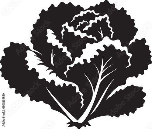 Vibrant black and white cabbage silhouette with crisp leaves