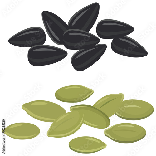 Seeds of Life: A vibrant illustration showcasing the contrasting beauty of black sunflower seeds and green pumpkin seeds, inviting a visual exploration of nature's bounty and culinary potential.