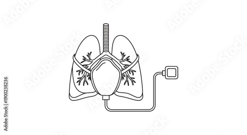 Detailed illustration shows human lungs connected to a respiratory mask and external oxygen tubing for life support functions.