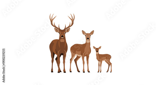 Deer family posing together, a proud stag, attentive doe, and small fawn in a naturalistic illustration, facing forward