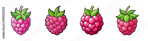 Cartoon style A vector graphic illustration of four pink raspberries with green leaves on a transparent background