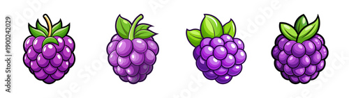 Cartoon style A vector graphic illustration of four purple raspberries with green leaves on a transparent background