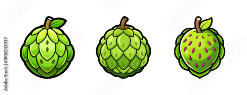 Cartoon style A set of three green hop cones in different stages of ripeness on a transparent background in a vector graphic design