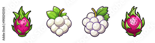 Cartoon style A vector graphic illustration of four different types of fruit including dragon fruit and white sapote on a transparent background with green leaves and vibrant colors