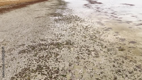 Drone footage of a shoreline where dry land meets a shallow marshy area with sparse vegetation and muddy ground reflecting a transition between aquatic and terrestrial zones
