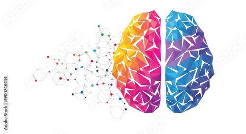 Vector polygonal brain with colorful geometric left and blue right hemispheres, connected by neural network, isolated on white