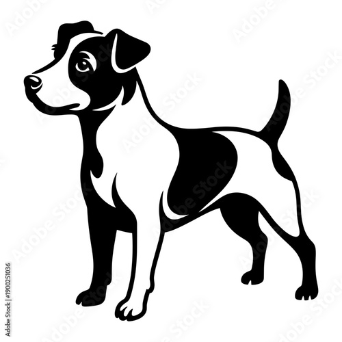 Parson Russell Terrier Dog