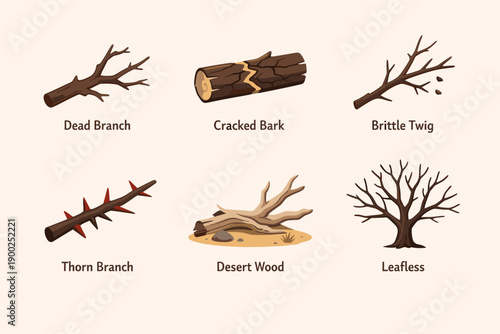 Dry Tree Branches and Dead Wood Vector Set – Cracked Bark, Thorn Branch, Brittle Twig and Leafless Tree Illustration