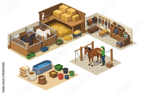 Isometric illustration of a horse stable with grooming area and tack room