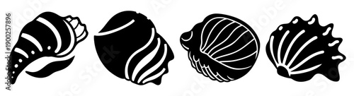 A set of four black and white seashell silhouettes on a transparent background