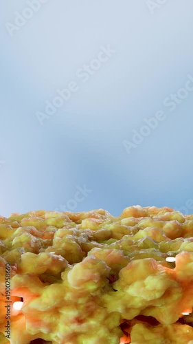 Weight loss Comparison. body transformation. Before and after a thick and thin waist, Fat belly before and slim fit, skin layers anatomy, fast weight loss process, Under Skin. fat burn, 3d render