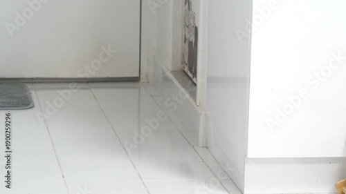 Inviting and Fresh Bathroom Space with Clean White Tiles, Showcasing Corner Where Wall Meets Floor, Perfect for Relaxation and Enjoyment with Playful Pets