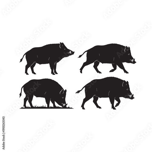 Wild Boar Silhouette Vector Set, Wild Boar Black and White Illustration, Boar Animal Silhouette Collection