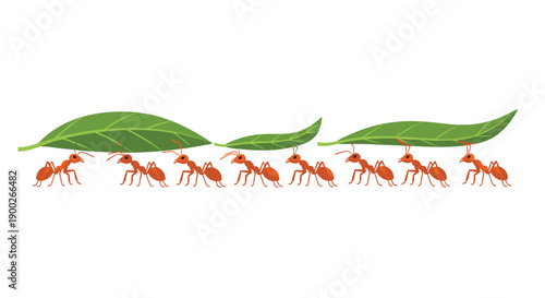 Industrious Red Ants Collaboratively Carrying Vibrant Green Leaves in a Horizontal Line Across White