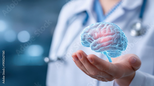 Medical professional holds a 3D model of a brain in their hand at a healthcare facility during a consultation