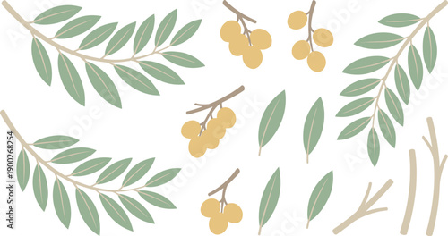 Elegant set of vector botanical elements showcasing verdant tree branches, vibrant leaves, sweet yellow fruits, and rustic twigs for nature-themed graphic designs