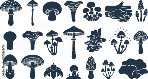 Comprehensive Collection of Diverse Mushroom Silhouettes and Fungi Icons, Perfect for Nature-Inspired Graphic Design Projects