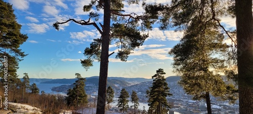 trees and sky,  mountains landscape 