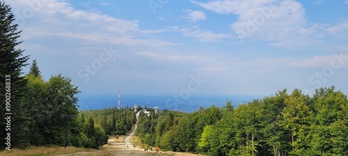 landscape with trees,  mountains 