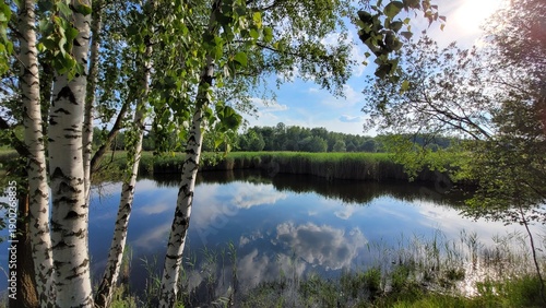 lake in forest