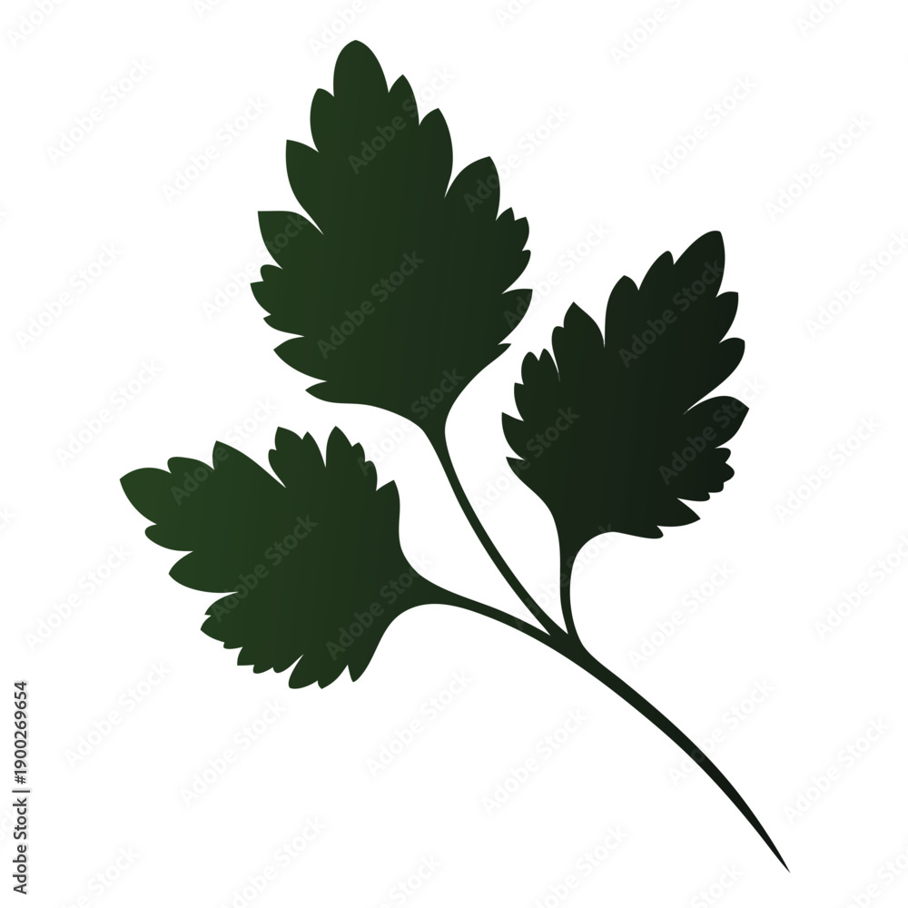 Fototapeta premium coriander leaves silhouette on white background