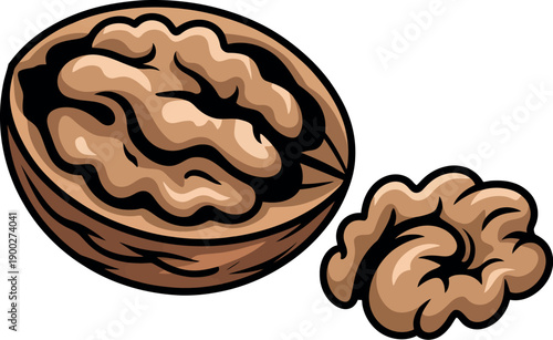 A cartoon illustration of a walnut and its kernel on a white background