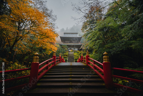 雨の日の雲巌寺の紅葉と山門