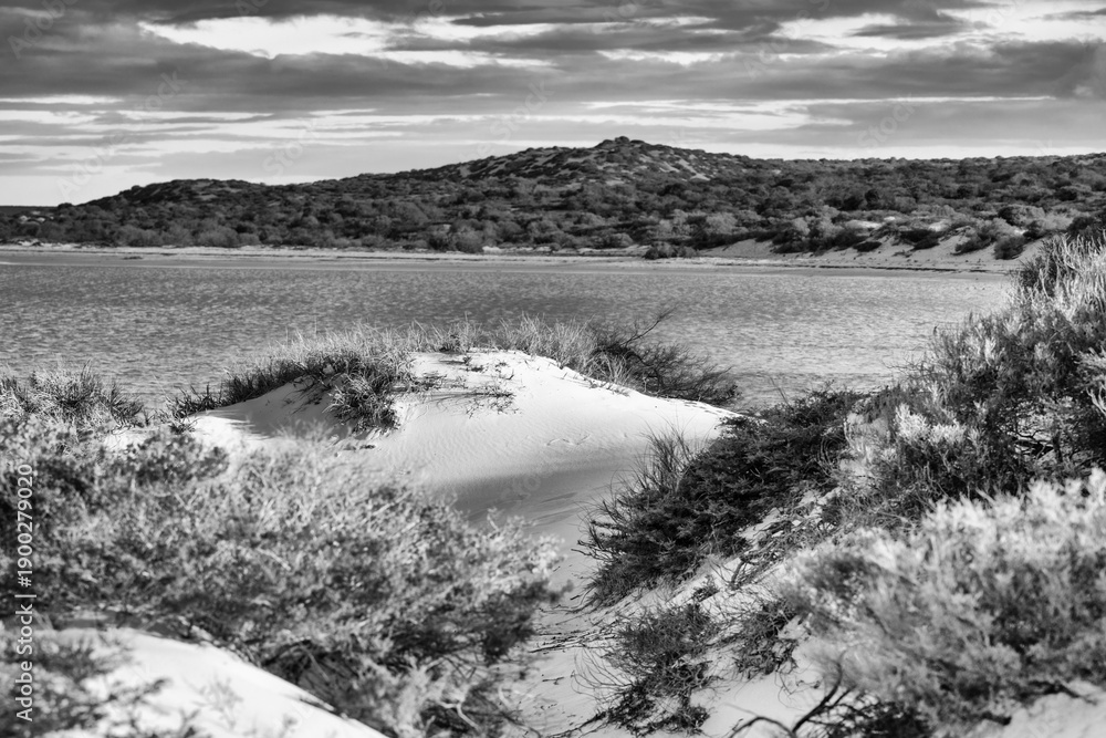 Fototapeta premium Shark Bay pristine beach with turquoise waters and white shell sands in Western Australia paradise