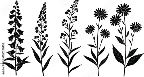 Black silhouette collection of flowering plants with diverse blossoms, stems, and leaves, perfect for botanical illustration, plant identification, decorative design, and creative nature projects