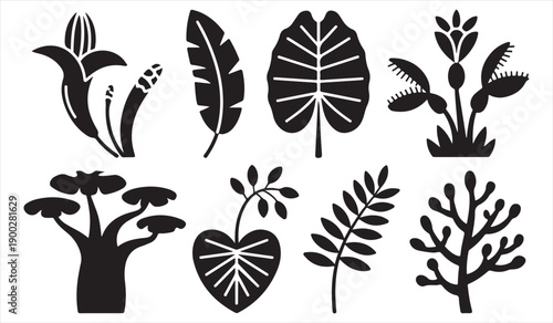 Tropical botanical silhouettes collection isolated on white background