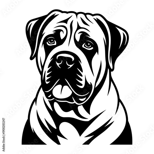 Boerboel Dog