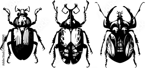 Classic Vintage Beetle Illustration Collection with Artistic Engraving Style and Ornamental Insect Details