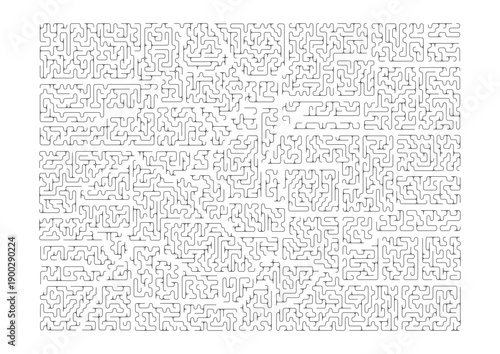 Abstract Colorado Map Vector Illustration Organic Line Art Geography Topography Contour Design Minimalist Modern Wall Decor Print North America USA United States Border Isolated Drawing Sketch Ink