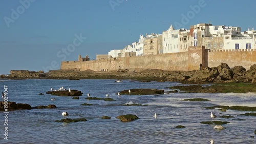 Walled city of Essaouira in Morocco on sunset with seagulls on beach in foreground, 4k