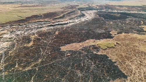 Drone perspective showing the boundary between a green grassy area and a recently burned black field illustrating the path of a brush fire in a wetland region