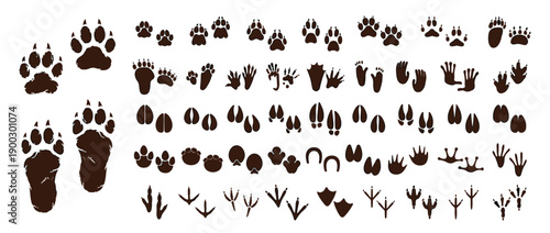 Animal Footprint Vector Illustration Set with Paw Print and Hoof Track Silhouette for Wildlife Hunting and Nature Design Isolated on White Background