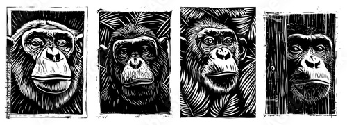 Set of four chimpanzee portraits in black and white linocut style
