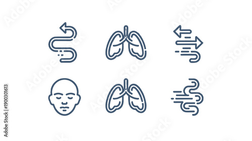 Respiratory system icons of the lungs, airflow, and facial features.