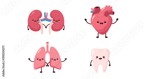Delightful cartoon human organs including kidneys heart lungs and a tooth depicted with happy faces and arms raised in a cheerful playful and friendly