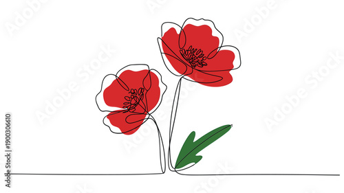 Minimalist line drawing of two vibrant red poppy flowers with green foliage