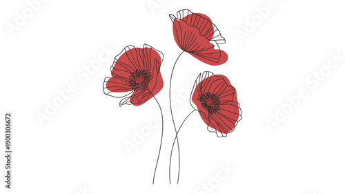Minimalist illustration of red poppy flowers with delicate flowing lines