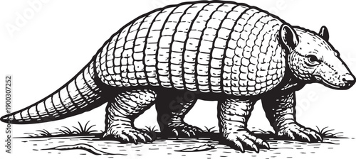 Giant Armadillo Walking in Tropical Forest South America Conservation Illustration for Environmental Design