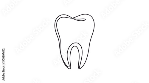 Simple line drawing of a single human tooth on a white background