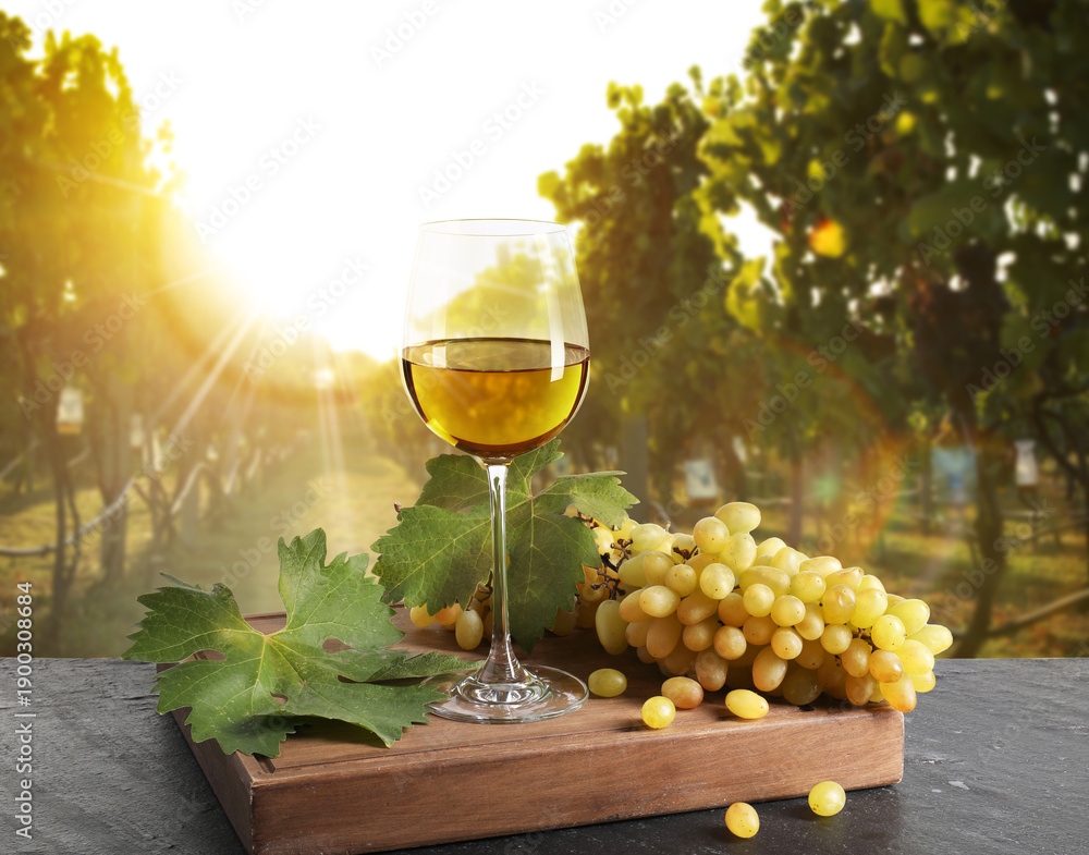 Naklejka premium Wine in glass and fresh grapes on table in vineyard