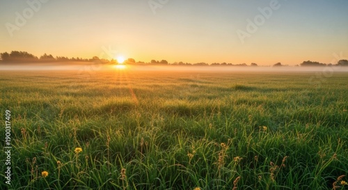 Serene landscape with sunrise over green field.