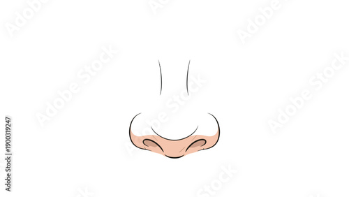 Nose cartoon
